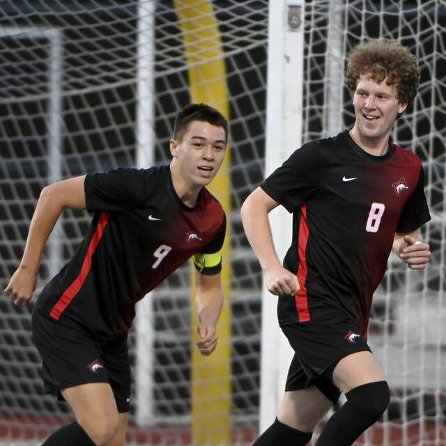 Fox Chapel makes early goals stand up in PIAA boys soccer 1st-round victory