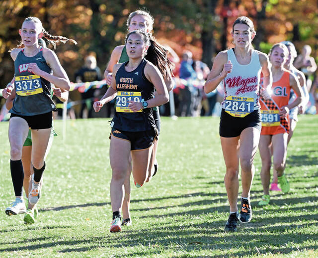 After PIAA title streak ends, North Allegheny cross country looks forward to promising future