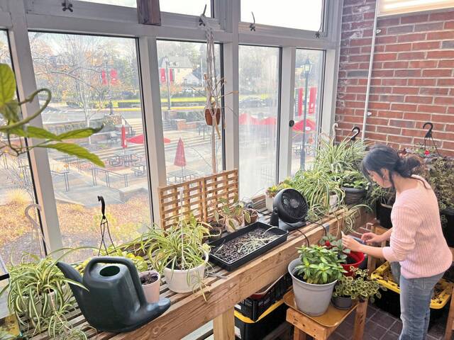 7907446_web1_sew-greenhouse-111424-3
