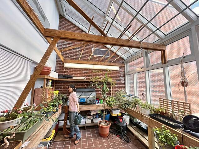 7907446_web1_sew-greenhouse-111424-5