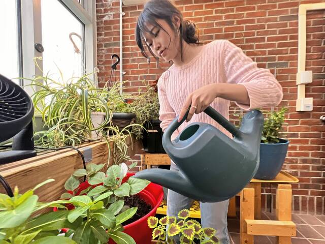 7907446_web1_sew-greenhouse-111424-7