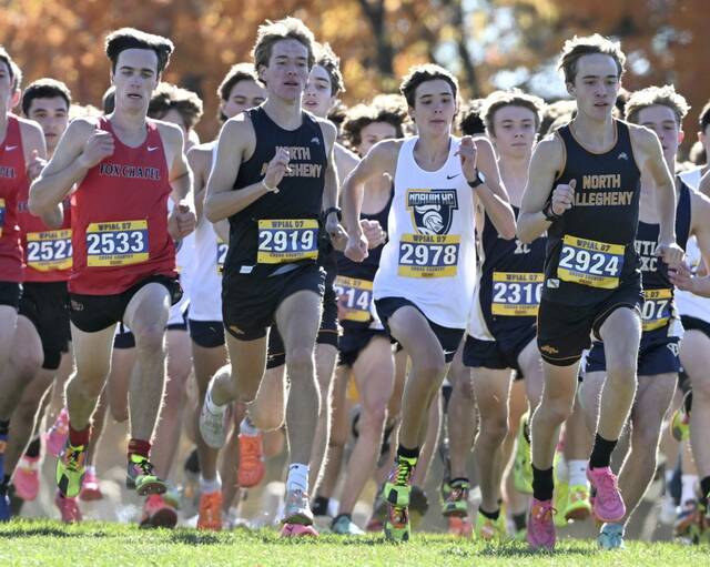 Norwin notebook: Cross country teams place at states