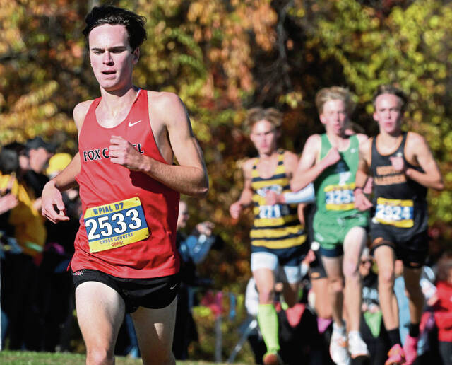 Fox Chapel finishes strong at PIAA cross country meet