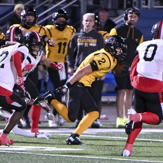 Trib HSSN’s 2024 Week 11 top performers for passing, rushing, receiving