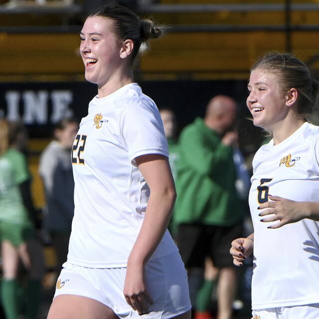 High school roundup for Nov. 9, 2024: Mars girls avenge loss, move on to PIAA semifinals