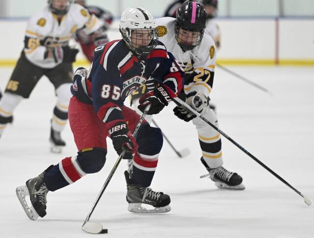 PIHL standings through Nov. 10, 2024