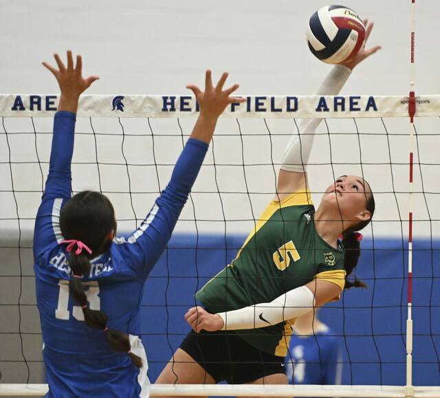 Rosters set for WCCA all-star volleyball match