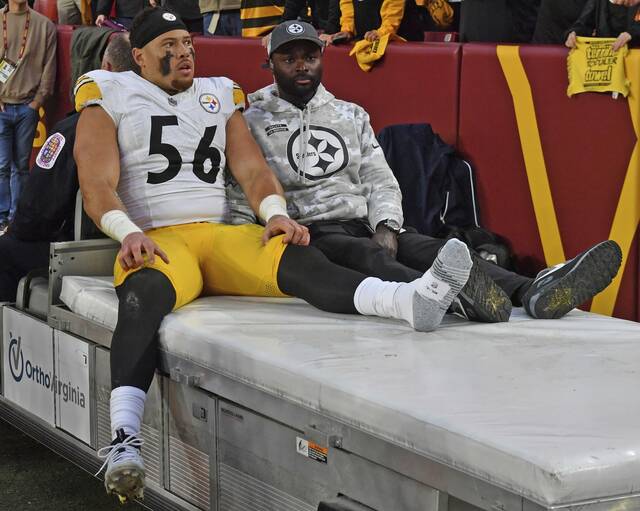 7929585_web1_ptr-SteelersCom20-111124