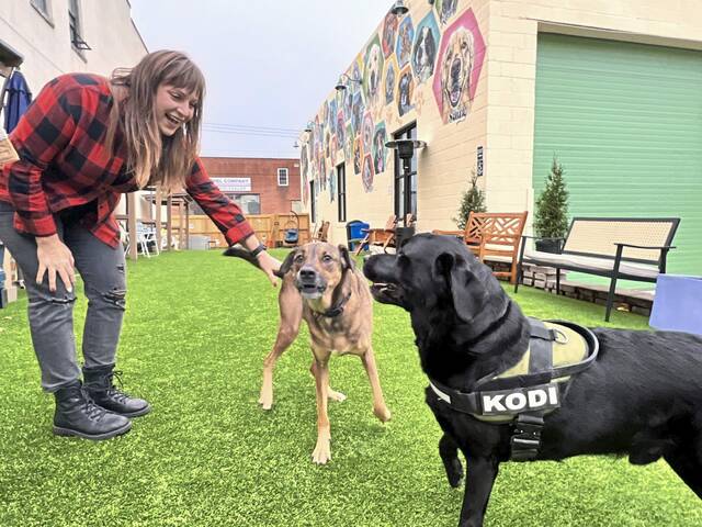 7937283_web1_ptr-doggpenn-112324-9