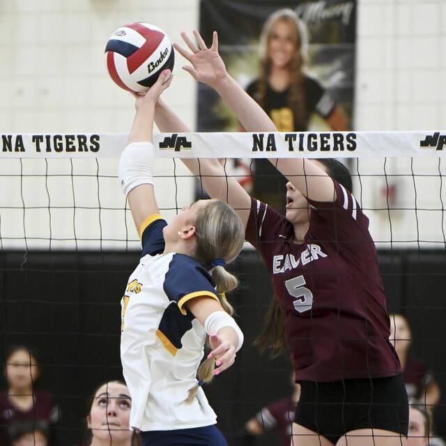 2024 PIAA Class 3A girls volleyball championship preview: Mars vs. Pope John Paul II