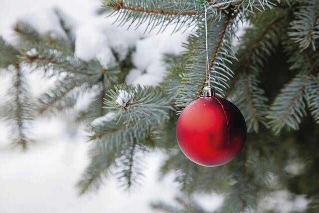 7942979_web1_Chrismas-ball-on-tree