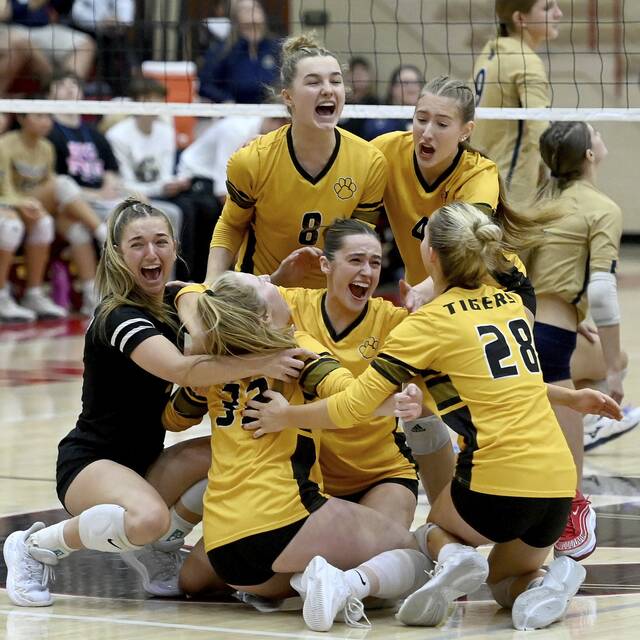 Championship tradition continues as North Allegheny volleyball wins 8th straight state title