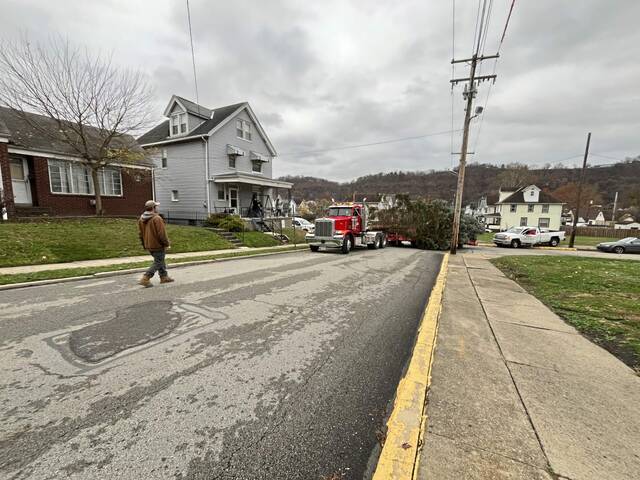 7945170_web1_vnd-pghxmastree10-111724