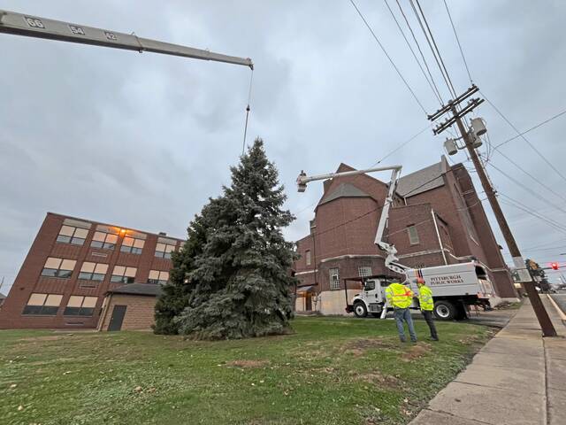 7945170_web1_vnd-pghxmastree2-111724