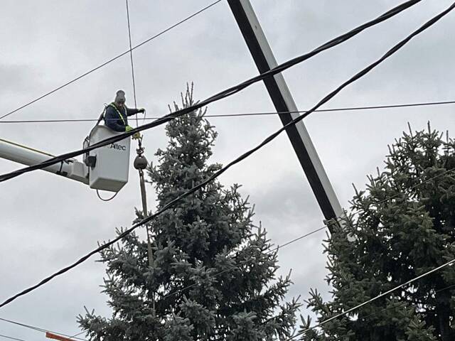 7945170_web1_vnd-pghxmastree4-111724