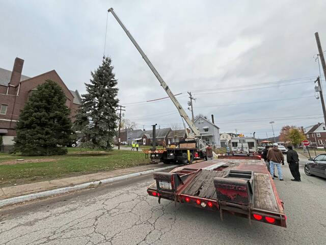 7945170_web1_vnd-pghxmastree6-111724