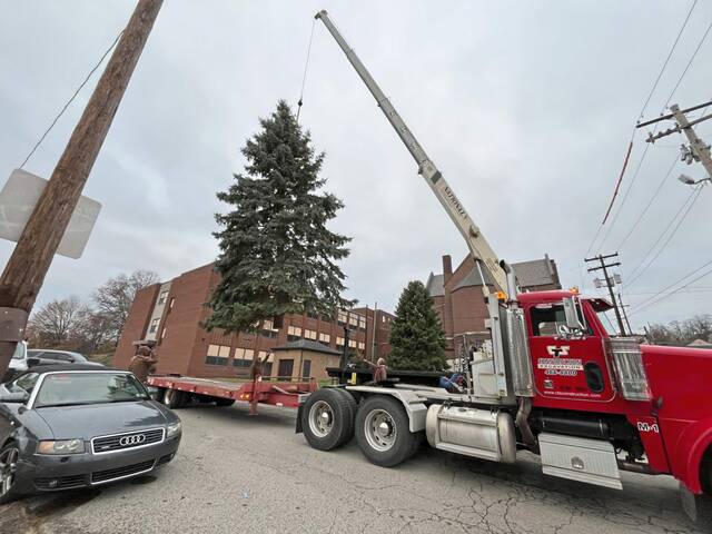 7945170_web1_vnd-pghxmastree8-111724