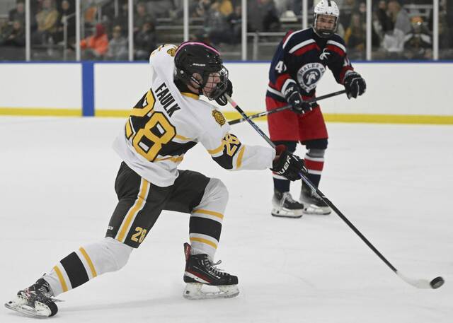 PIHL standings through Nov. 17, 2024