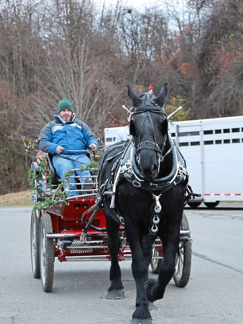 7949721_web1_pcj-holidaydazzle-121224-4