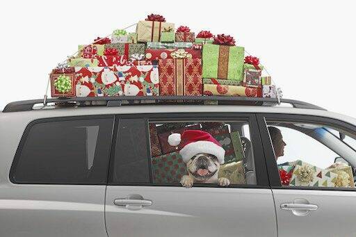 7953174_web1_part-norwinholpetland-112124