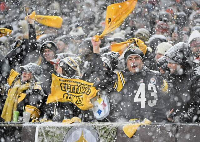 7960456_web1_ptr-SteelerBrown14-112224