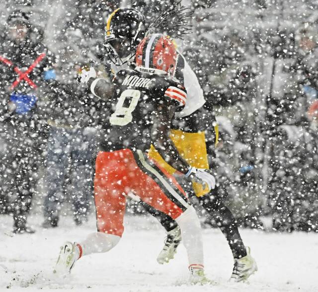 7963544_web1_ptr-steelerbrown12-112224