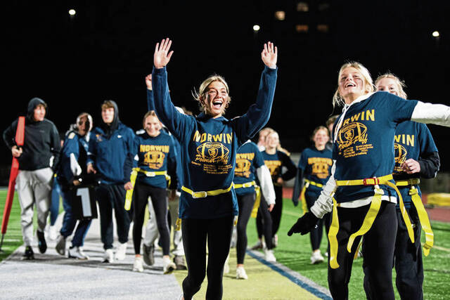 7964198_web1_gtr-NorwinPowderpuff4-112724