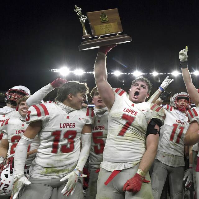 Avonworth shuts out Central Valley to win WPIAL Class 3A championship