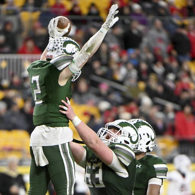 WPIAL Class 5A championship game by the numbers: Pine-Richland 20, Peters Township 9