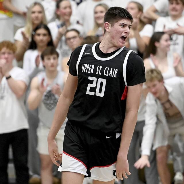 Trib HSSN 2024-25 WPIAL Class 6A boys basketball preseason breakdown