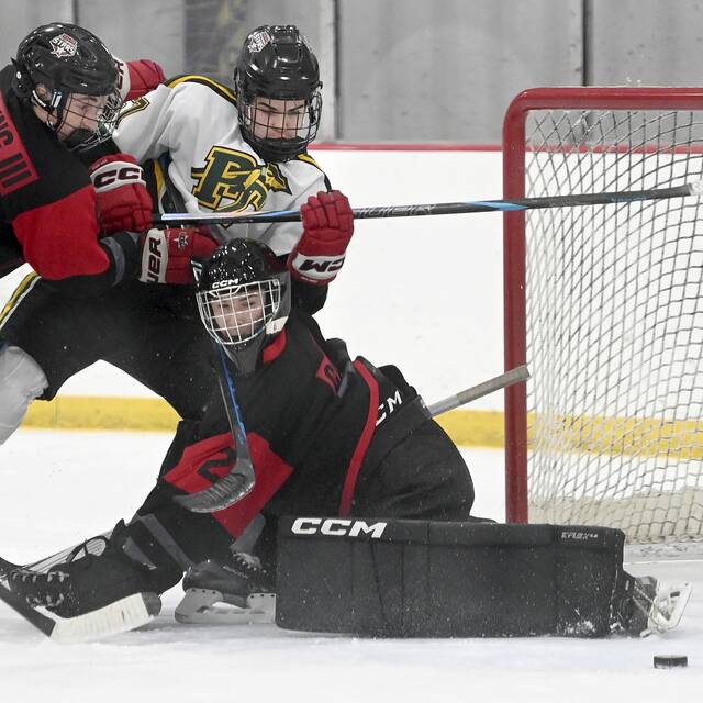 PIHL standings through Nov. 24, 2024