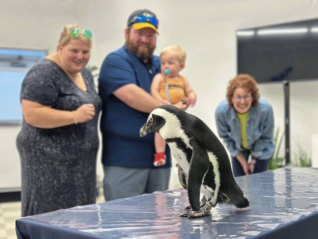 7971474_web1_part-nataviaryhh24-112624