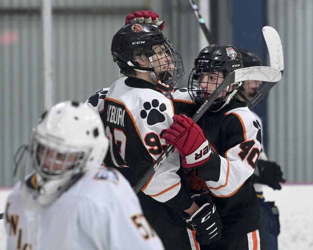 High school roundup for Nov. 25, 2024: Verszyla brothers boost Pine-Richland to win