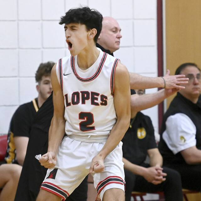 Trib HSSN 2024-25 WPIAL Class 4A boys basketball preseason breakdown