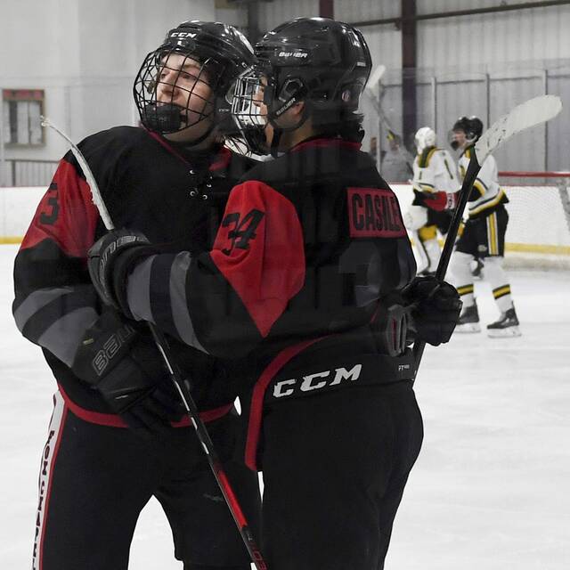 High school roundup for Nov. 26, 2024: Dominic Casile scores pair in Fox Chapel win