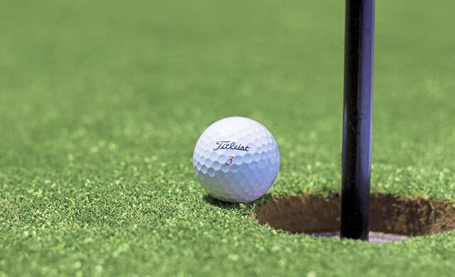 7981334_web1_web-golf