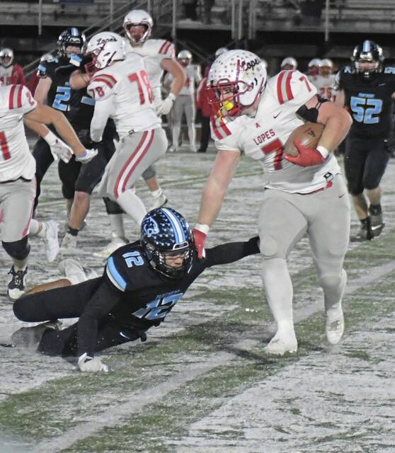 Neal brothers, defense carry Avonworth to PIAA Class 3A finals