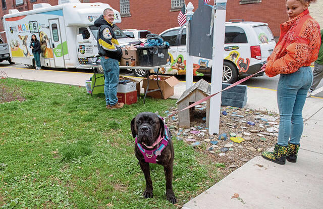 7972084_web1_her-FreeVetCare12-112824