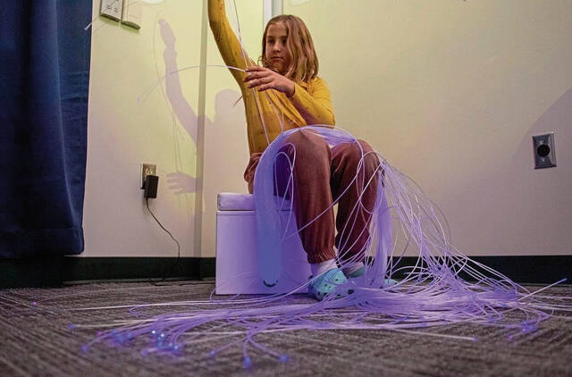 7977215_web1_SEW-OsborneSensory16-120424