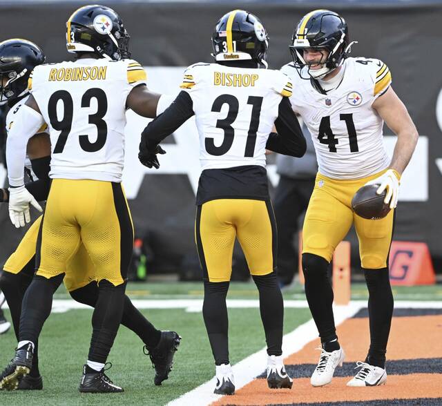 7988126_web1_ptr-SteelersBengals12-120224