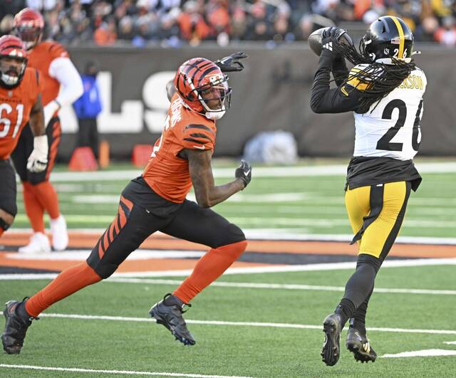 7988126_web1_ptr-SteelersBengals17-120224