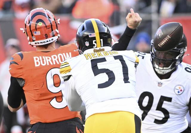7988798_web1_ptr-SteelersBengals14-120224