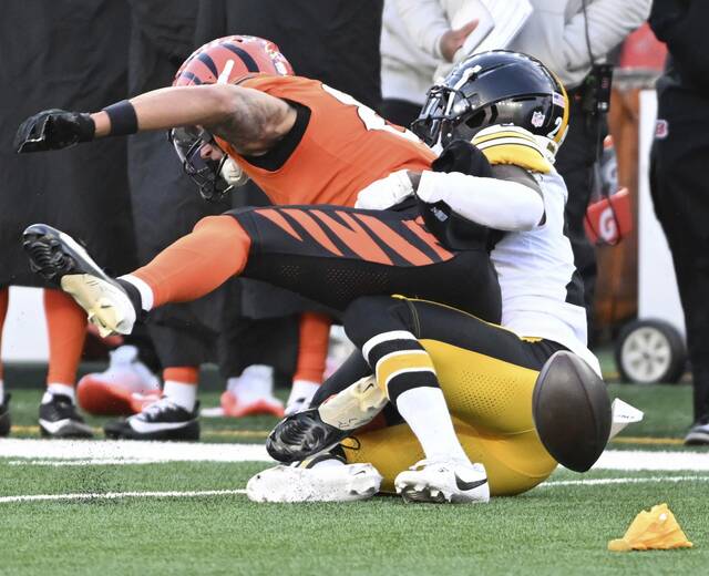 7989124_web1_ptr-SteelersBengals15-120224