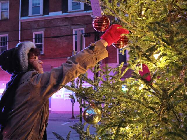 7990575_web1_sj-millvalelightup-121224-1