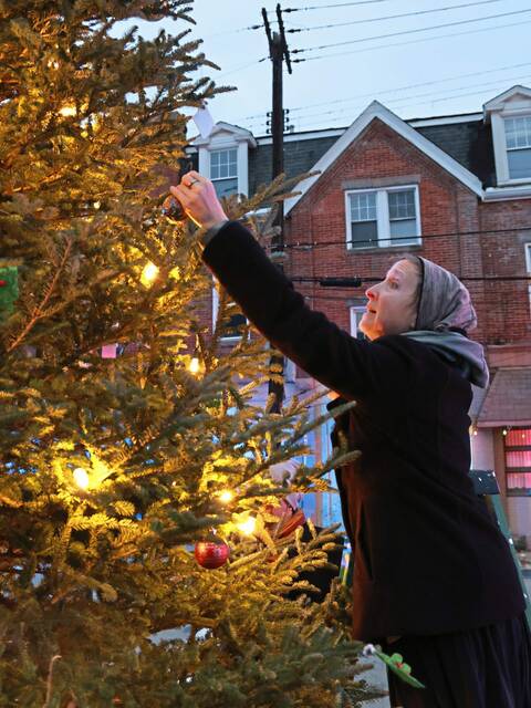 7990575_web1_sj-millvalelightup-121224-2