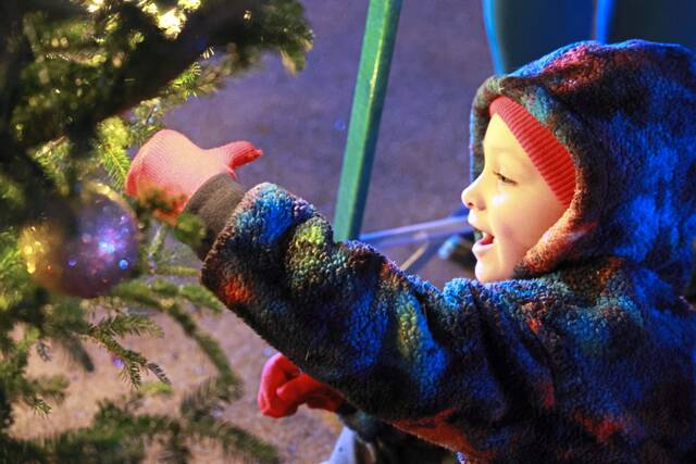 7990575_web1_sj-millvalelightup-121224-5