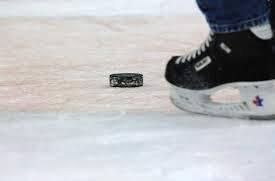 7991190_web1_WEB-hockey 7991190_web1_WEB-hockey