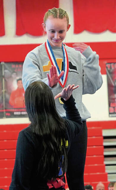 Roster smaller but hopes high for North Allegheny gymnasts