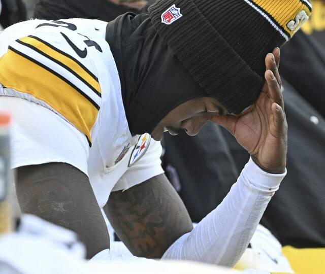 7993753_web1_ptr-SteelersBengals26-120224