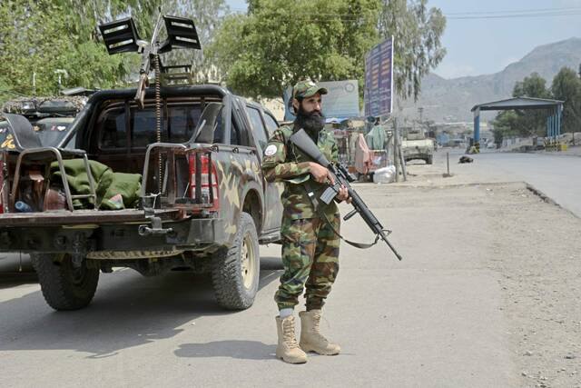 7995809_web1_AP24226447683068